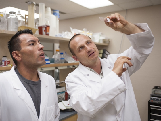 Montana State University mechanical and industrial engineering professor Ron June studies a bone sample with anthropology student Michael Ruiz in a lab at MSU-Bozeman. MSU photo by Kelly Gorham.