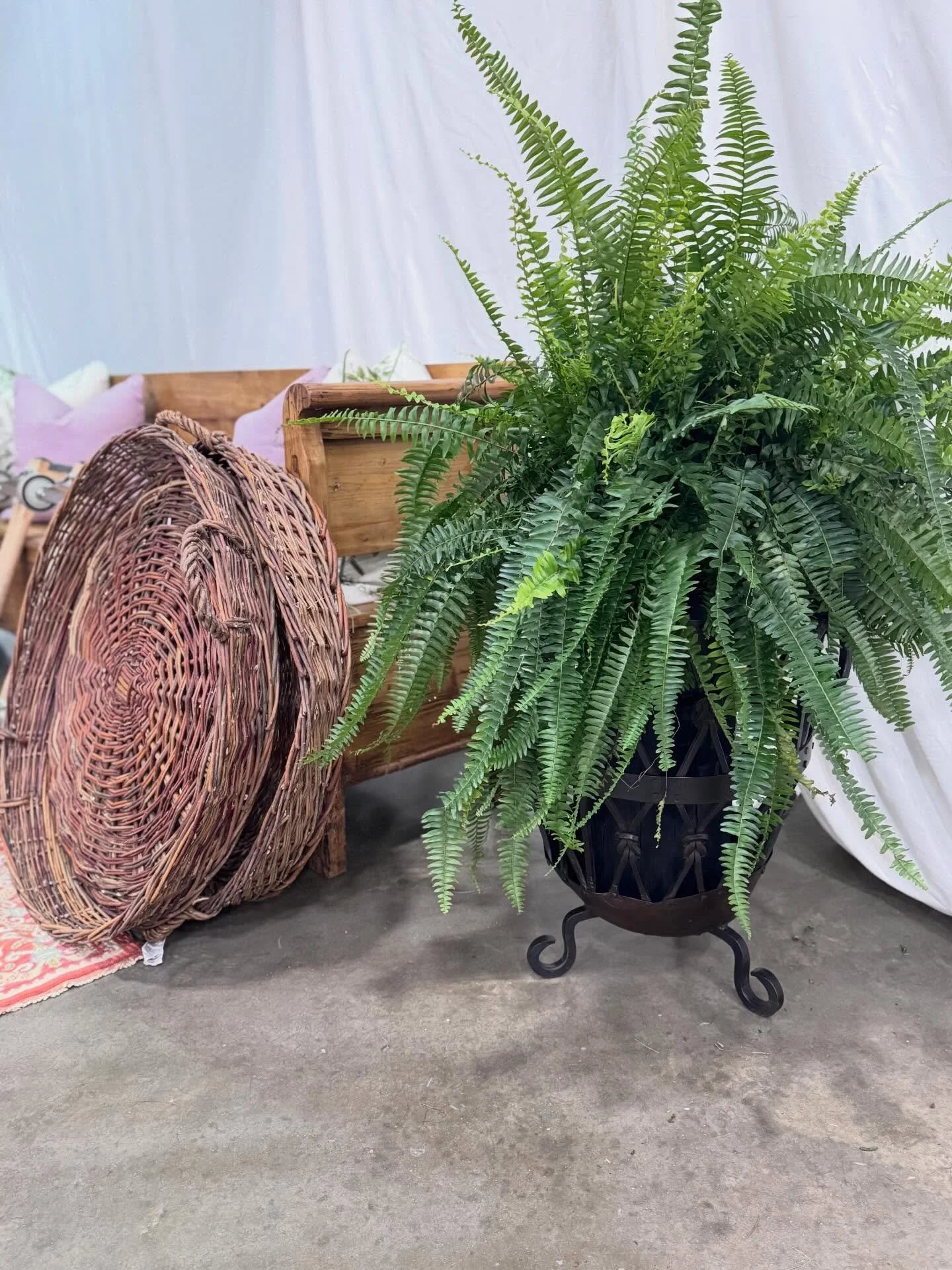 It&rsquo;s officially spring! Come shop our iron baskets. Perfect for planters. 

Shop in-store only. Hand forged iron baskets. $210 each. Use for plants in the spring and firewood in the fall. 

Roughly 18&rdquo; diameter by 24&rdquo; high.