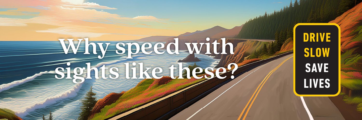 Why Speed
