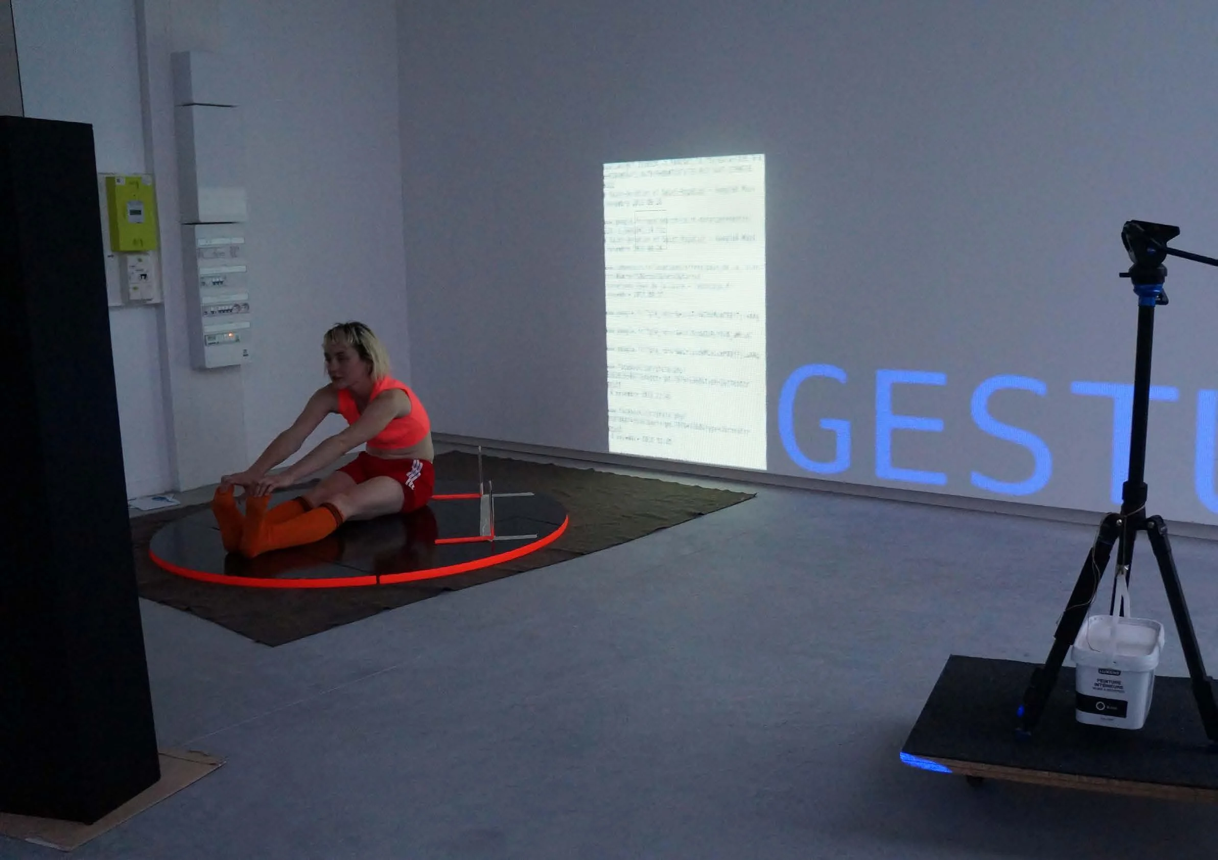 Léa Viretto, DNSEP 2018, Beaux-arts de Nantes