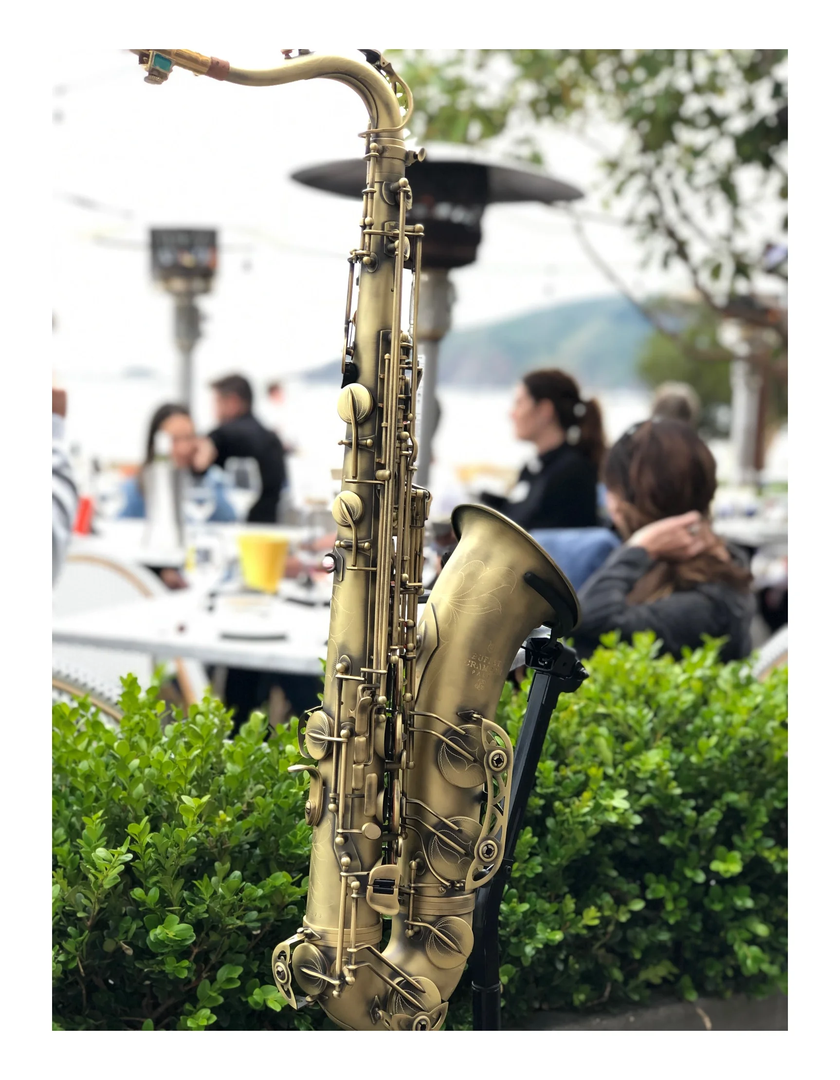 livejazz-01.jpg