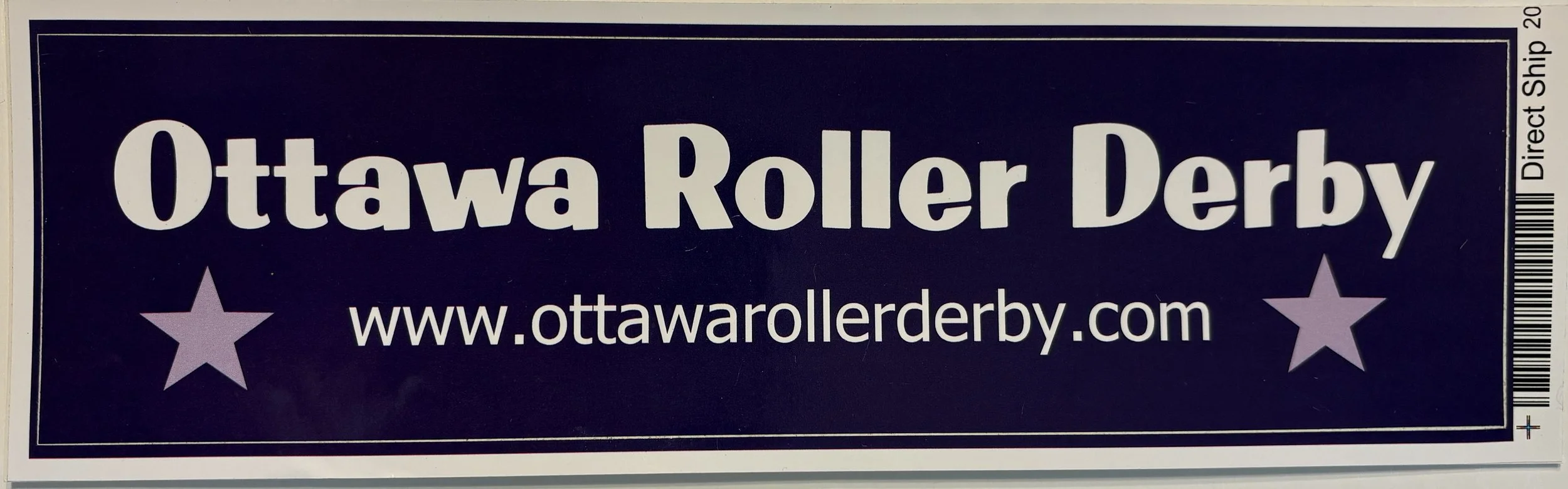 Bumper Sticker - Purple.jpg