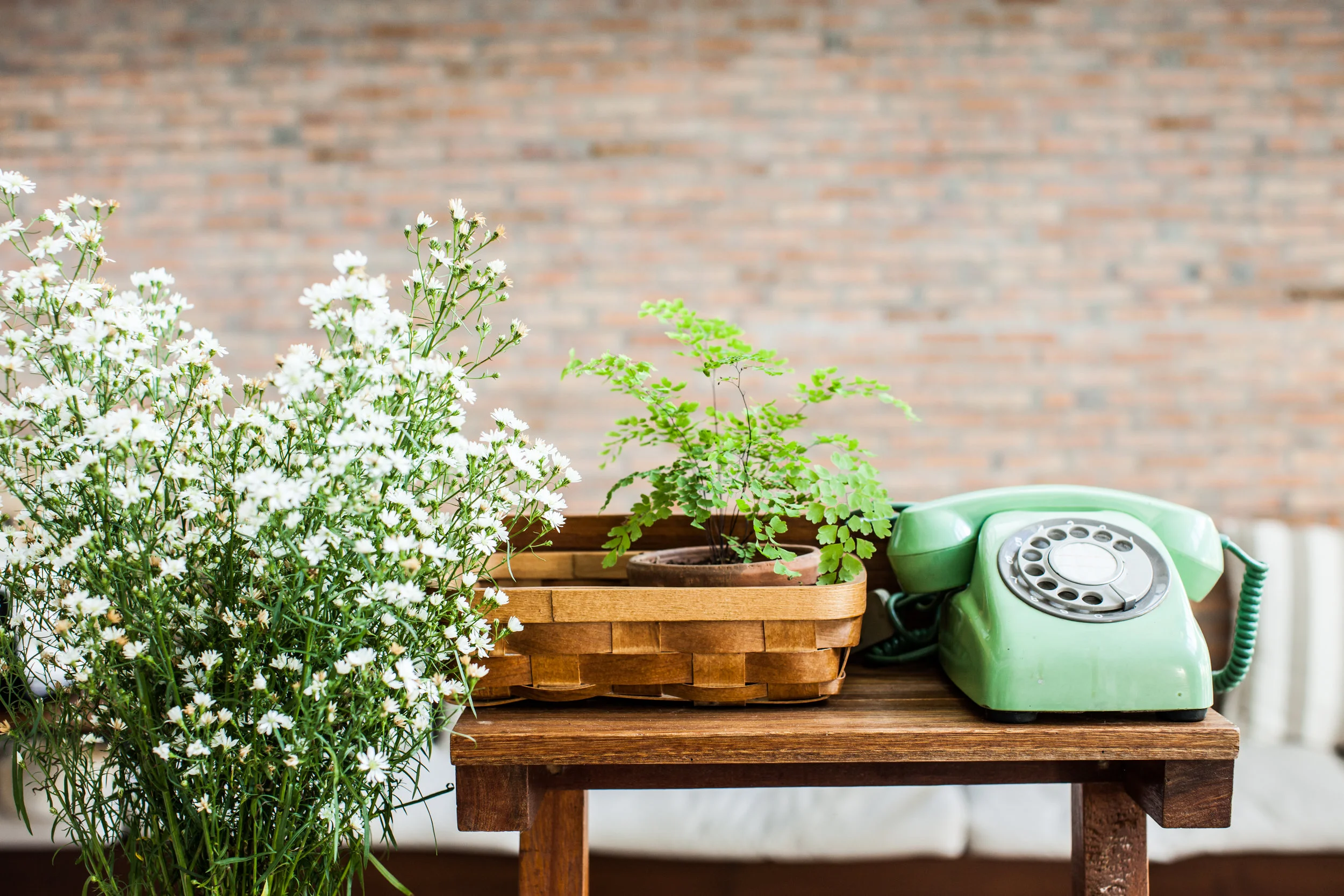 Picture of mint green rotary phone