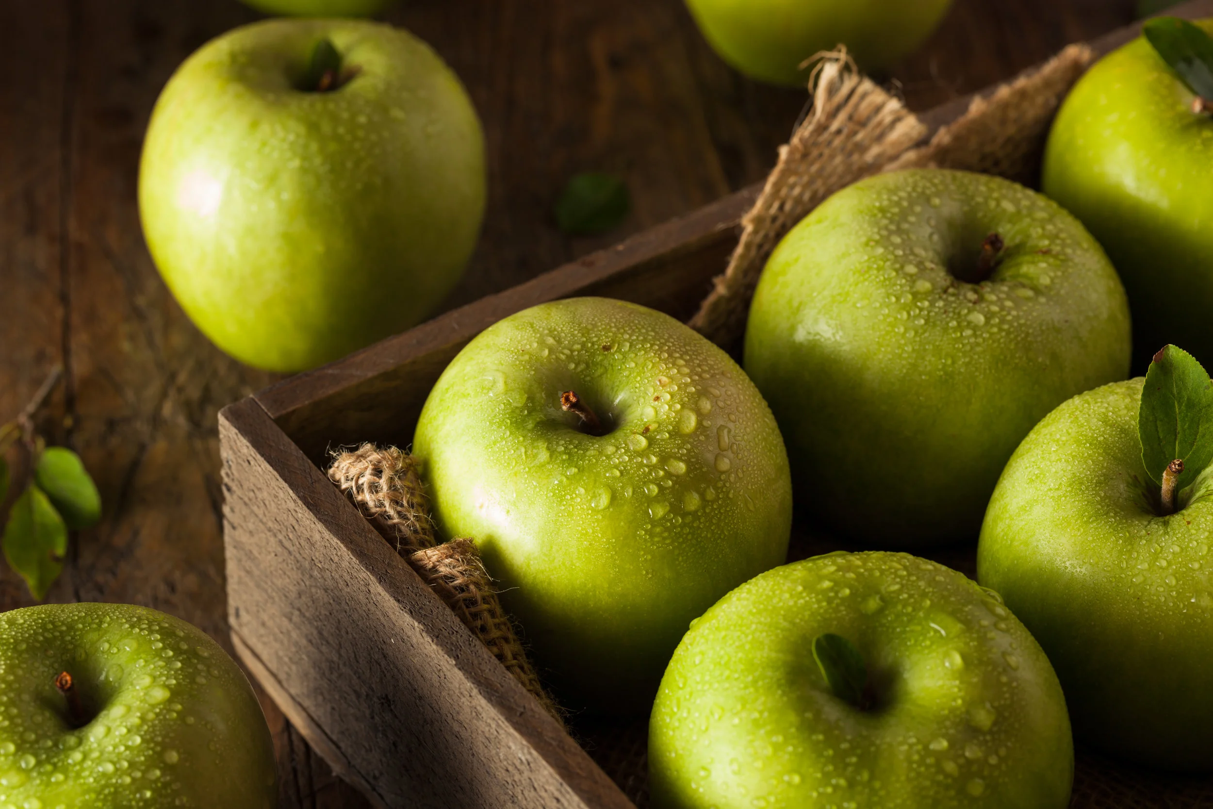 AdobeStock_89951556.jpeg