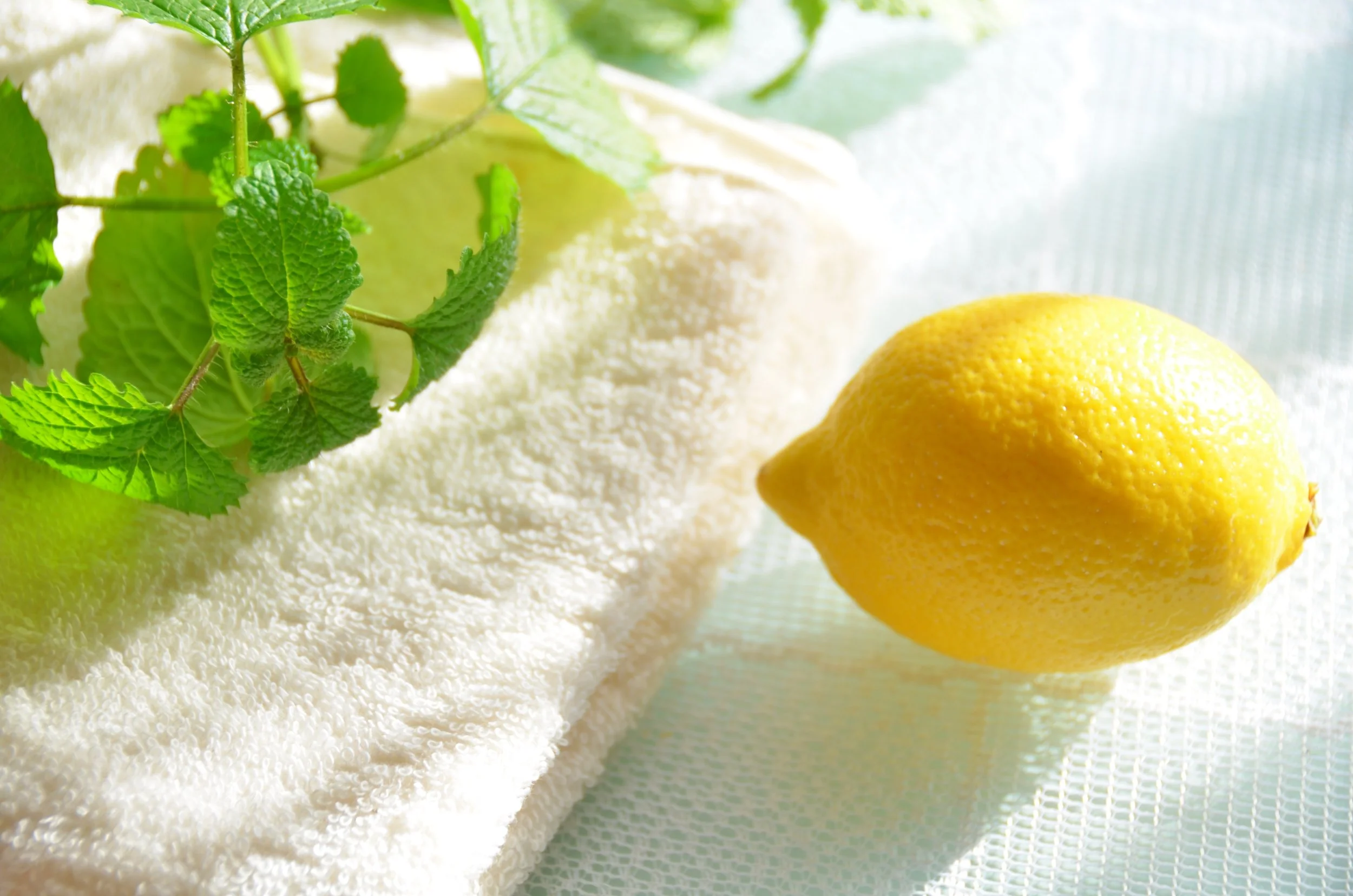 AdobeStock_37501215.jpeg