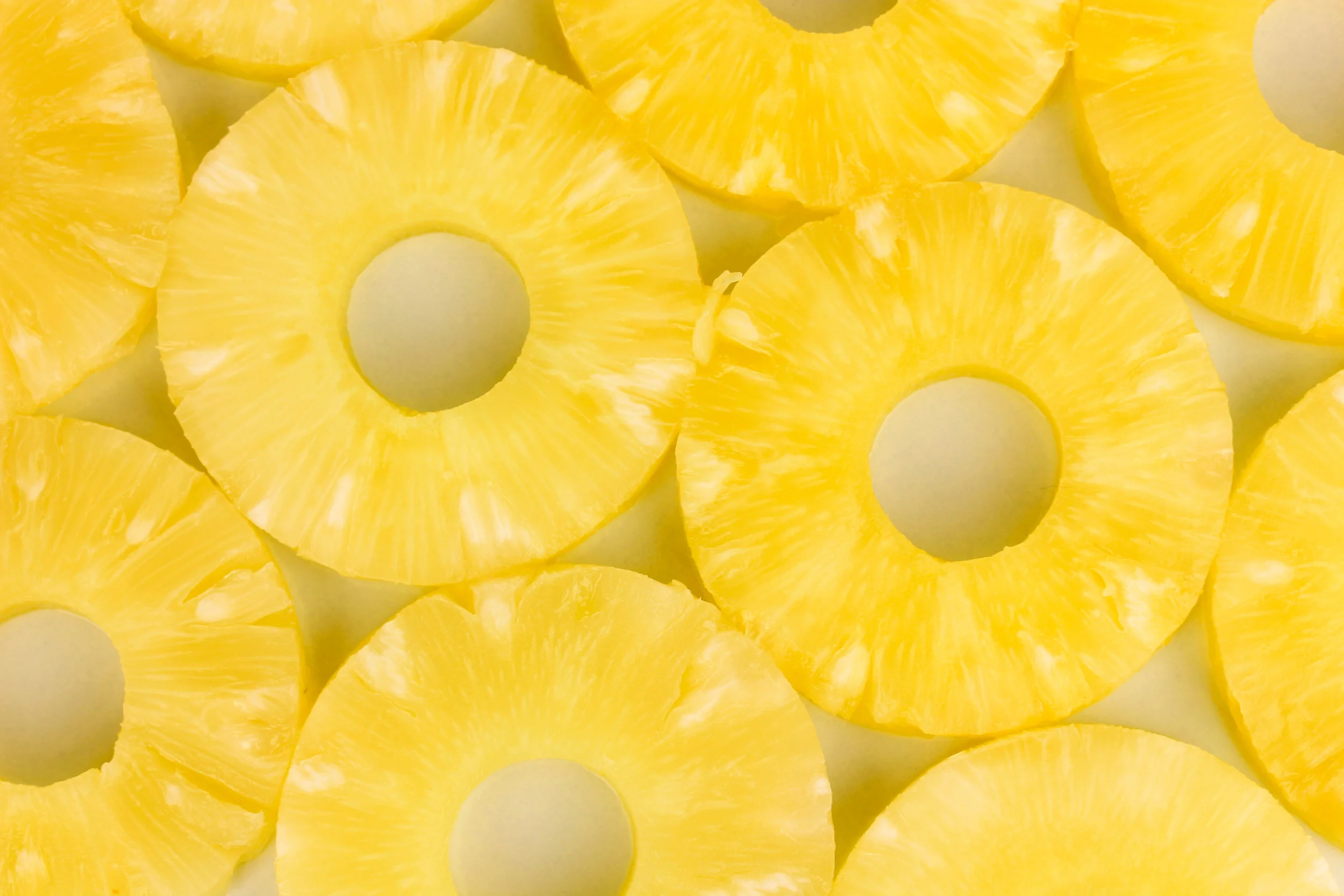 AdobeStock_64695153.jpeg