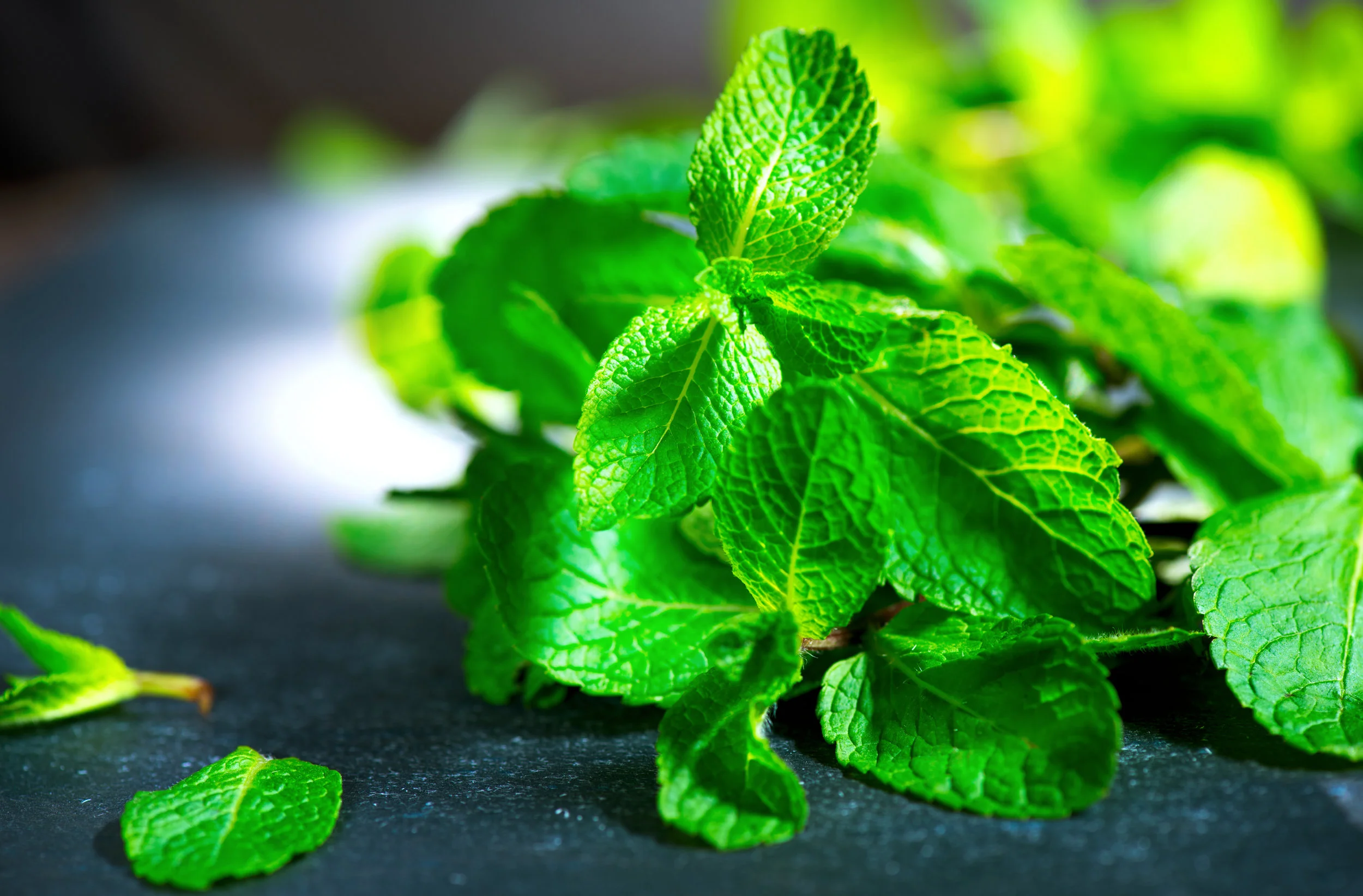 AdobeStock_81048538.jpeg