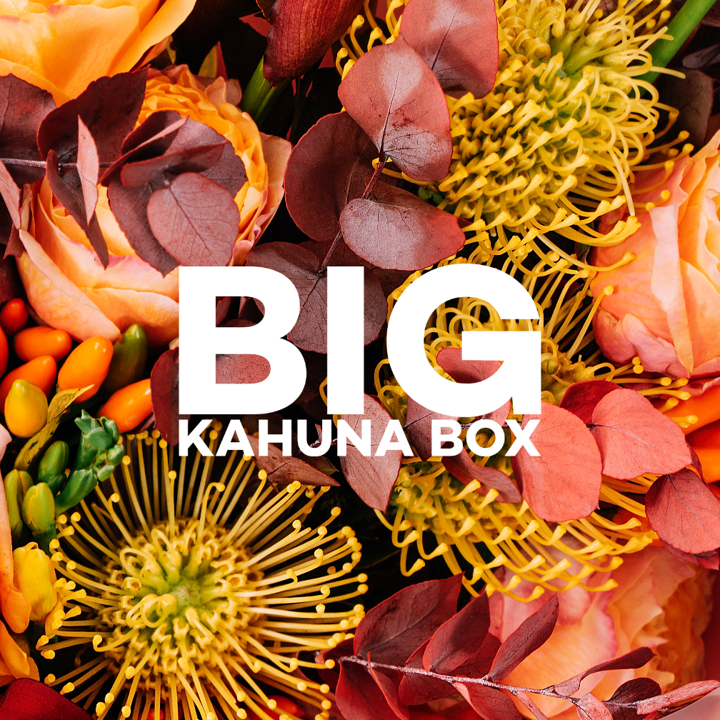 Big Kahuna Box