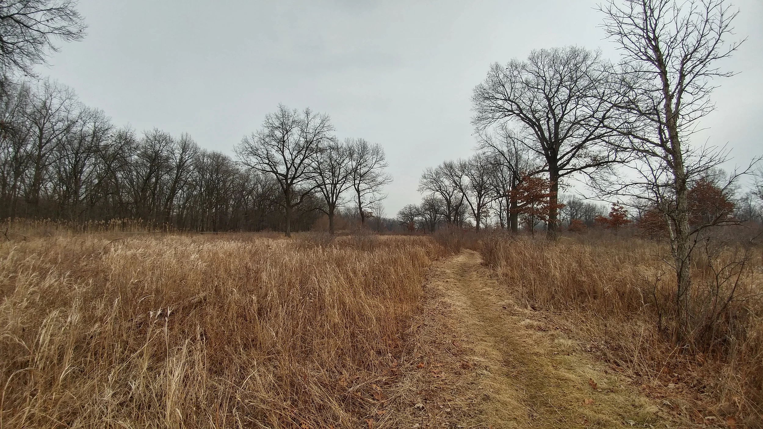 20170211_144011_HDR.jpg