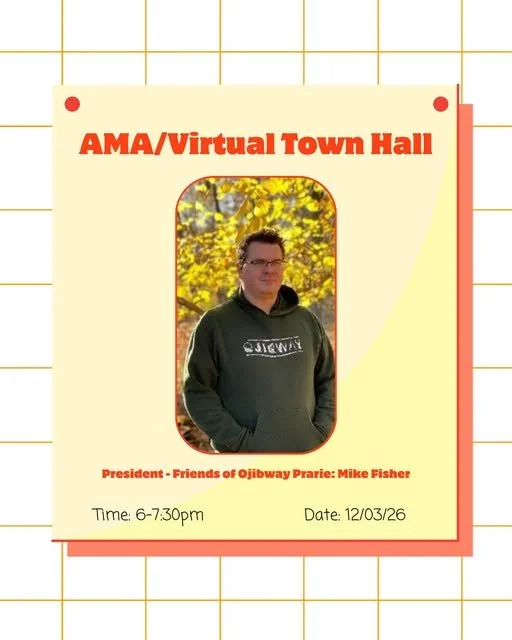 Virtual Town Hall - Let's Talk Ojibway with Olivia Holt