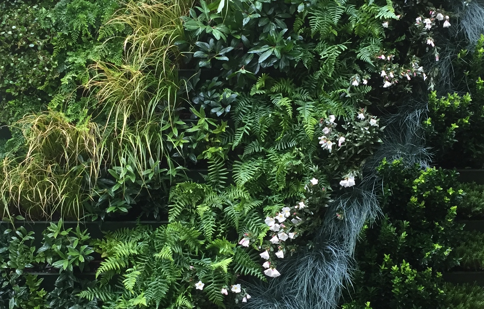 2015-10-12 16.00.16 cropped.jpeg
