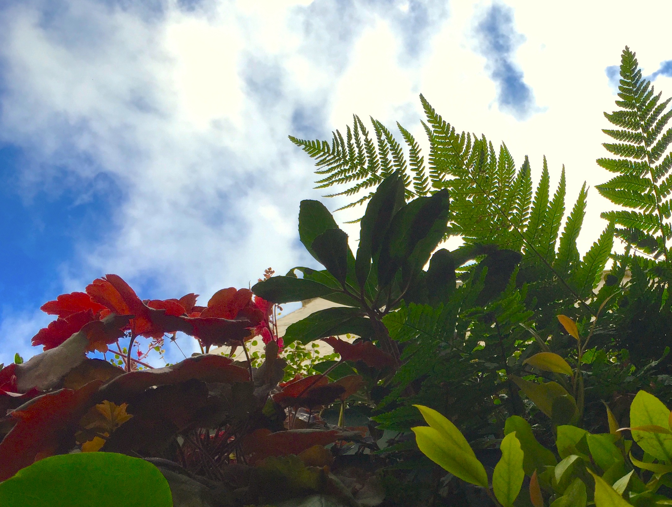 2016-07-27 14.36.29 Cropped copy.jpg