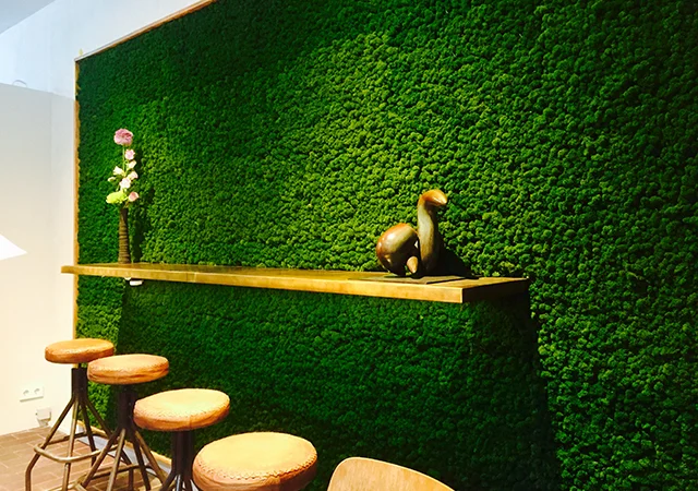 Moss Wall.jpg