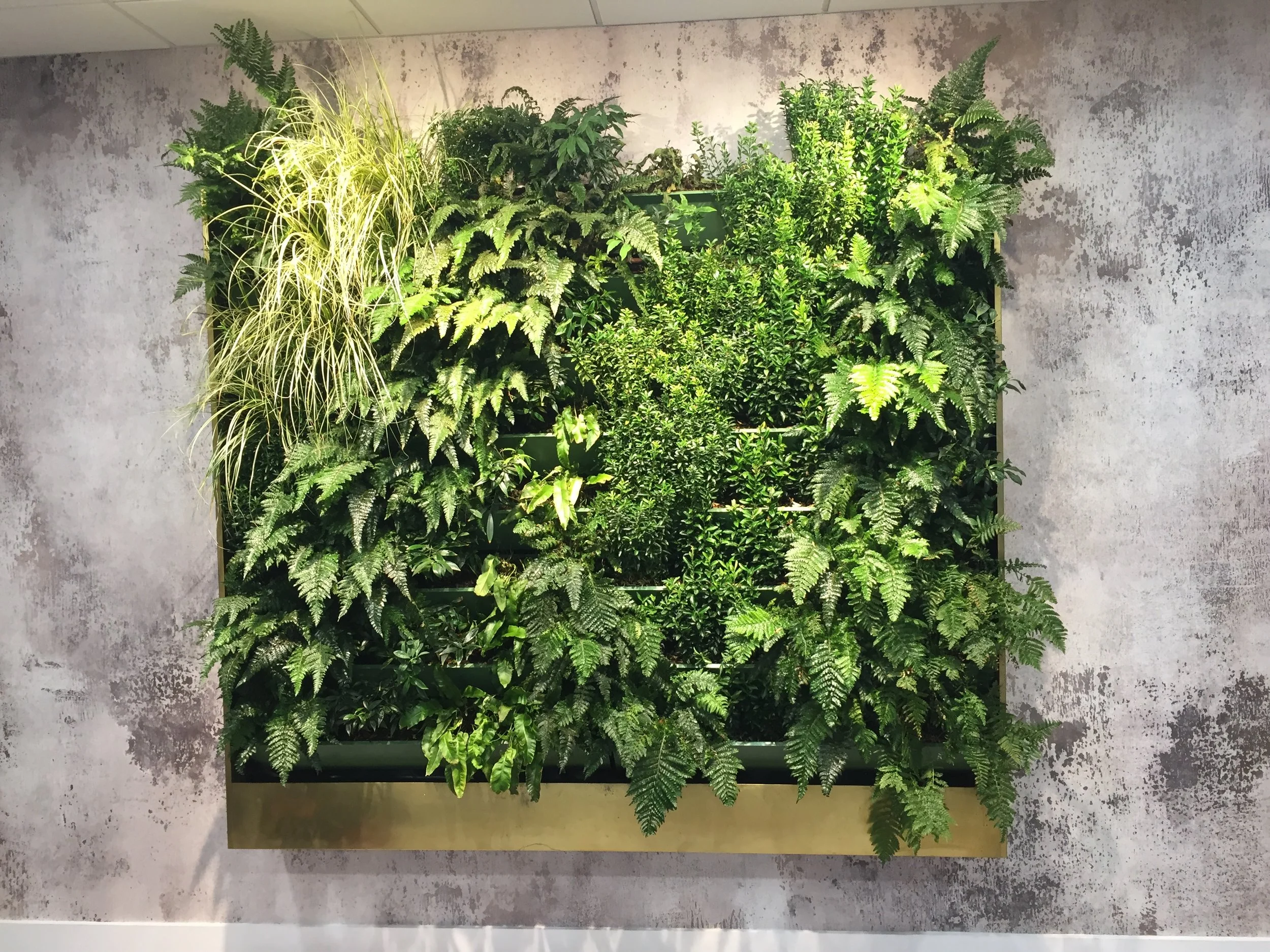 Interior wall hung