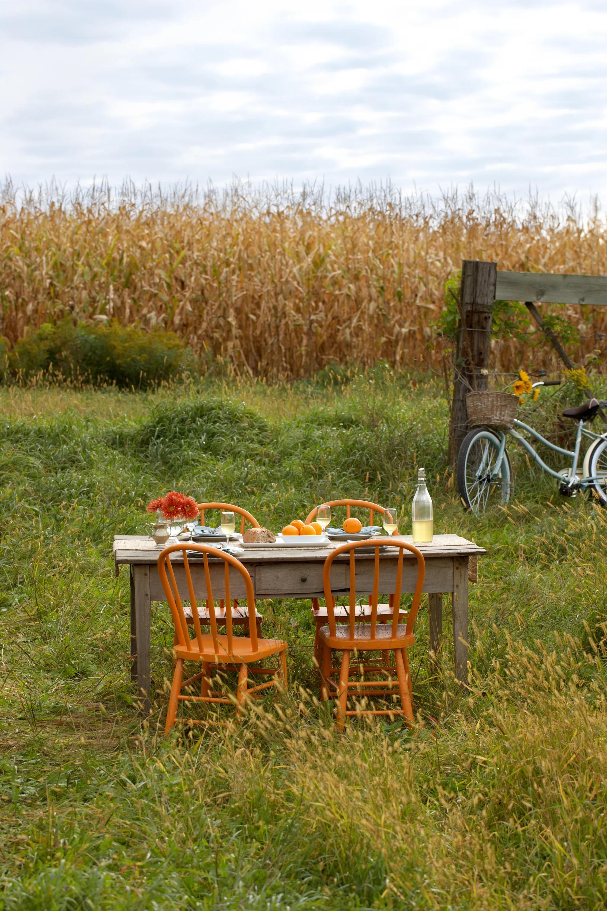EKH20100918_BK_dining02.jpg