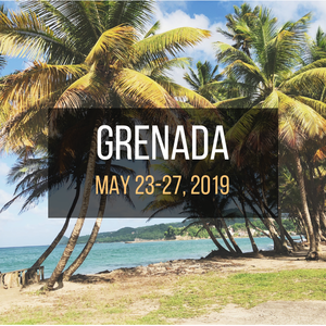 TravelJewels Grenada Trip