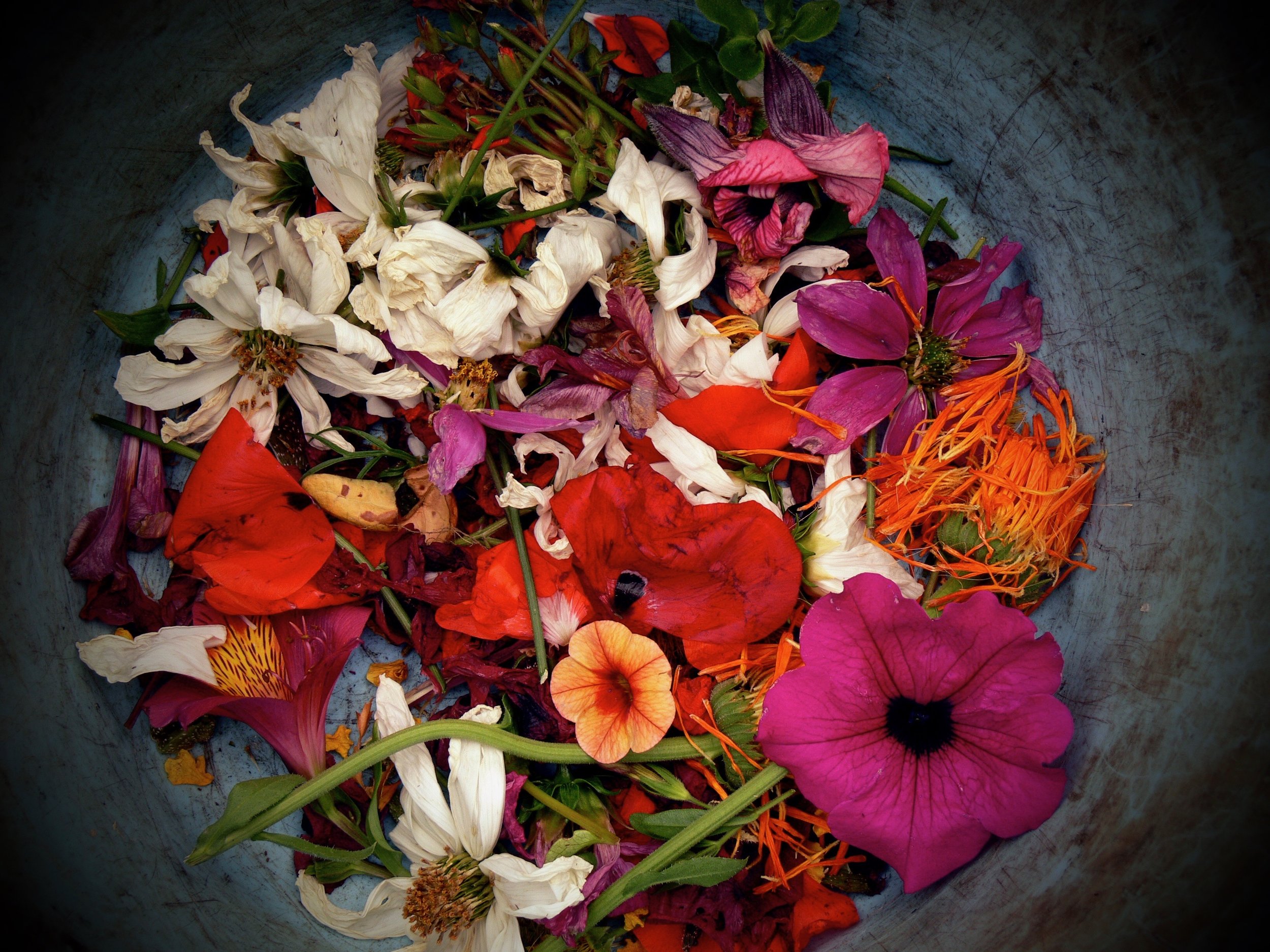 Nurture Your Wise Womb'an: A Workshop for Women's Health