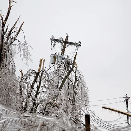 winter snow.jpg