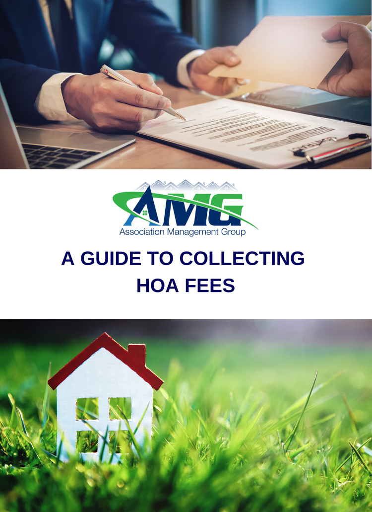 Guide+for+Collecting+HOA+fees.webp