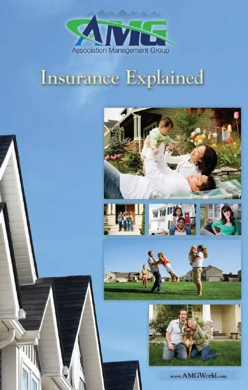 insurance+explained.webp
