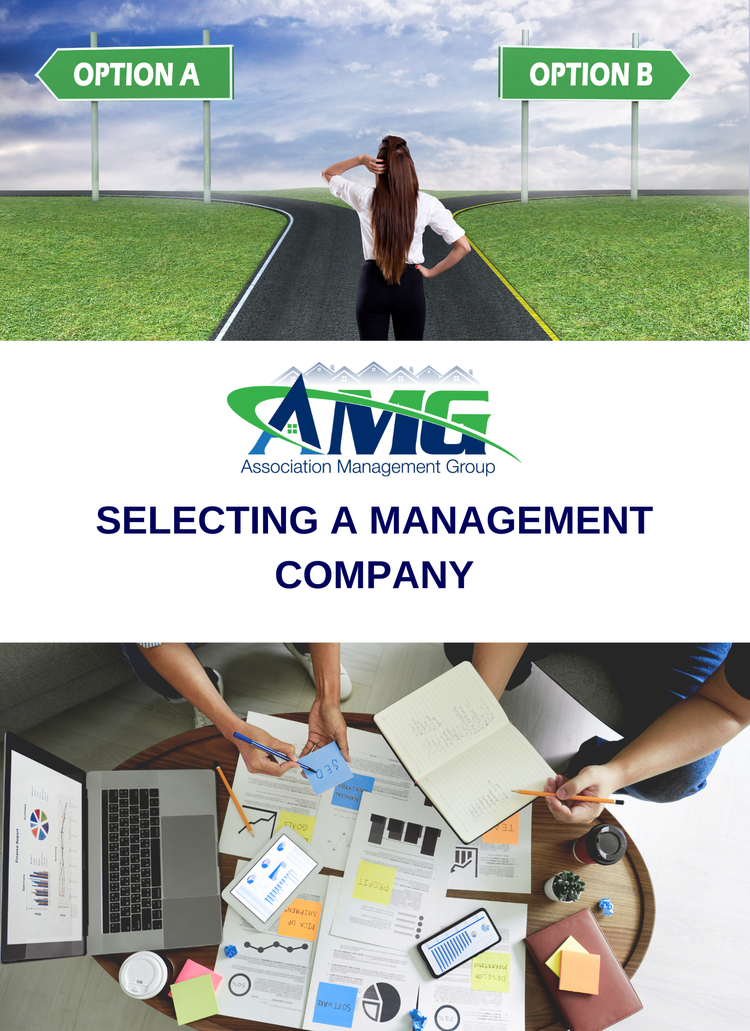 How+to+Select+a+Management+Company.webp