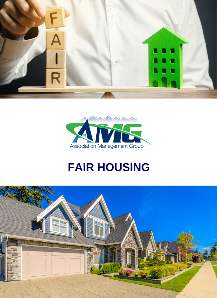 Fair+Housing+Pamphlet+F1.webp