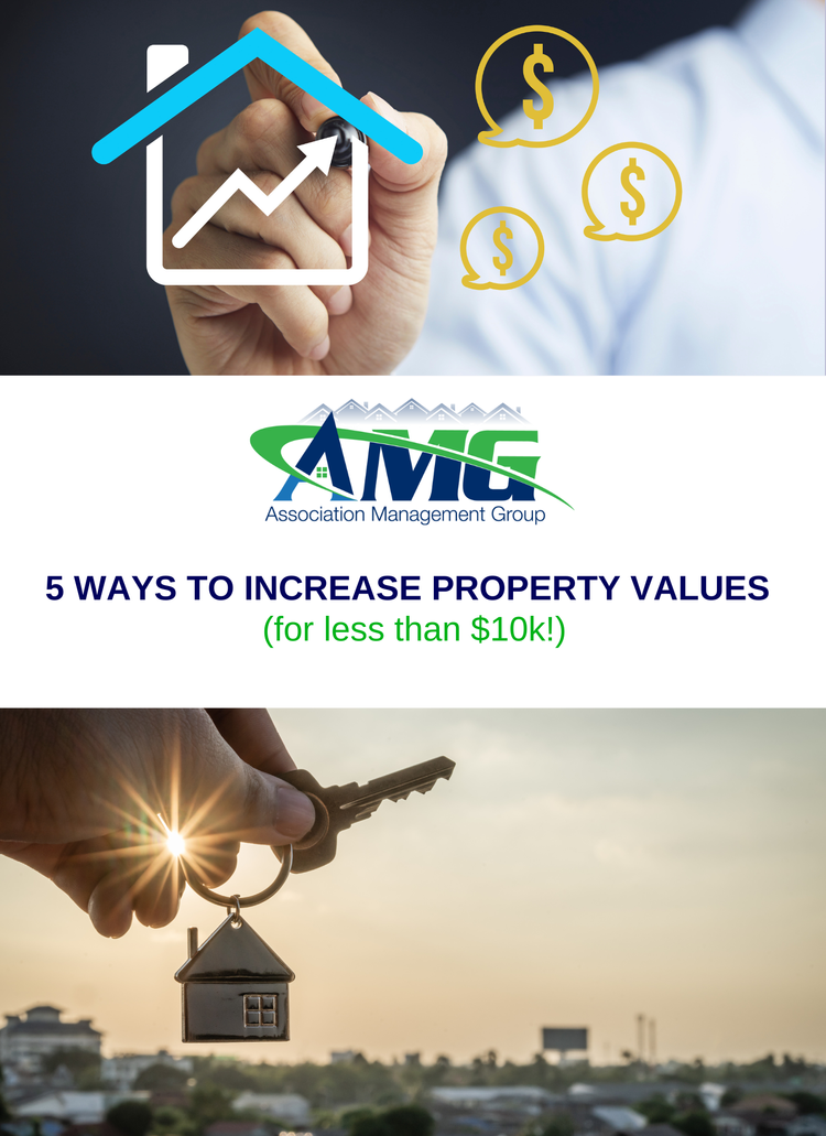 Increasing+Property+Values+Under+10K+Pamphlet+F1.webp
