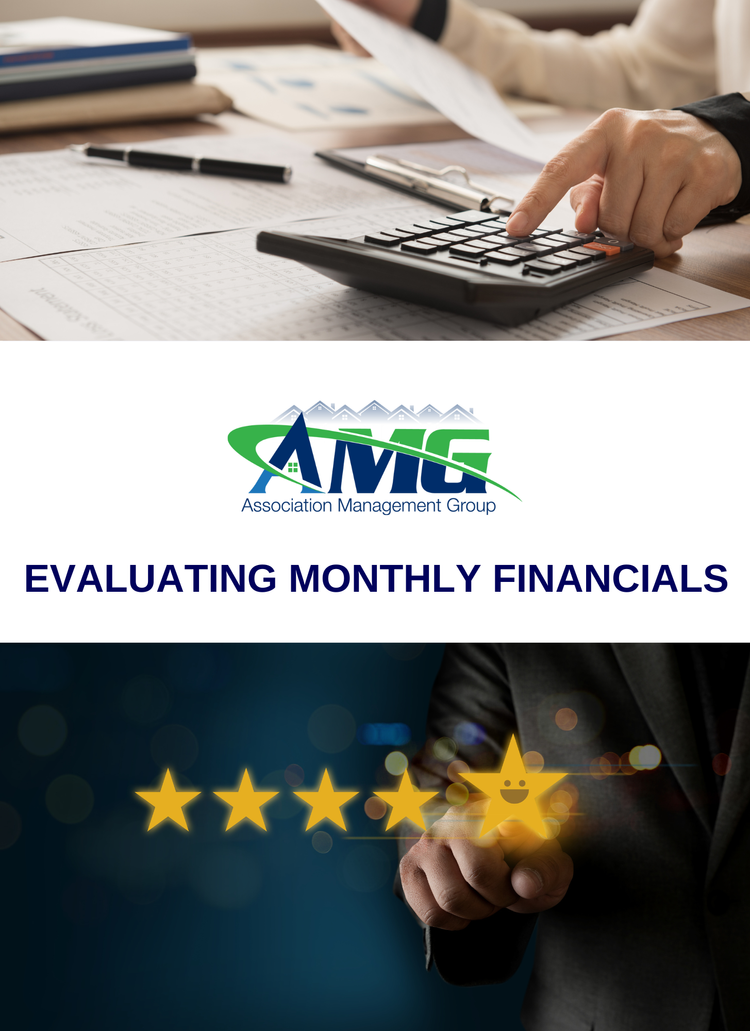 Evaluating+Monthly+Financials+Pamphlet+F1.webp