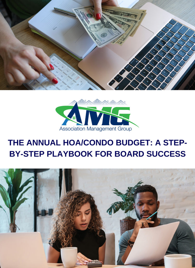 The+Annual+HOACondo+Budget+A+Step-by-Step+Playbook+for+Board+Success.webp