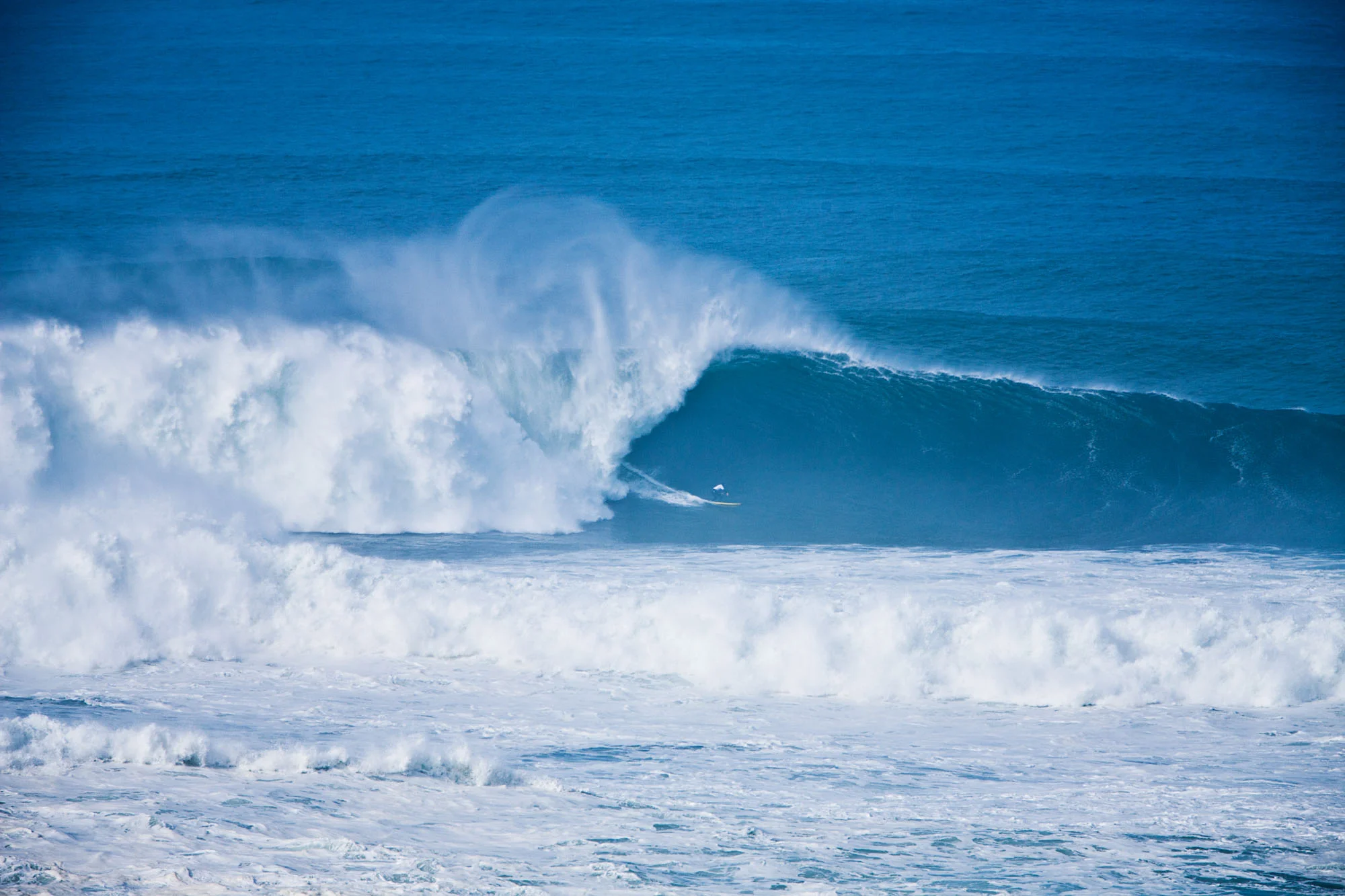 101102_nelscott_0747.jpg