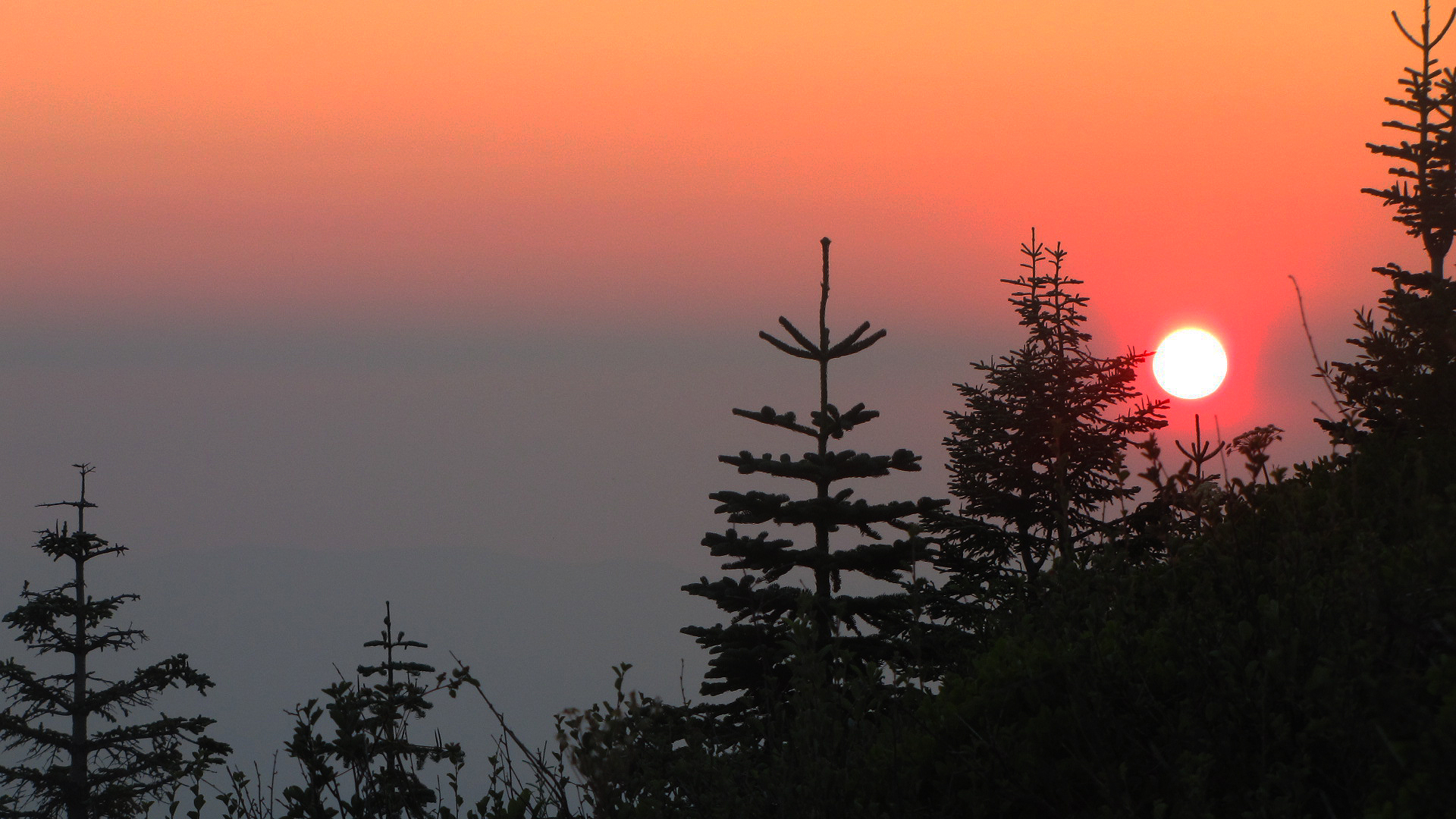 Forest fires are common in the Klamath-Siskiyou during the warm, dry summer months.