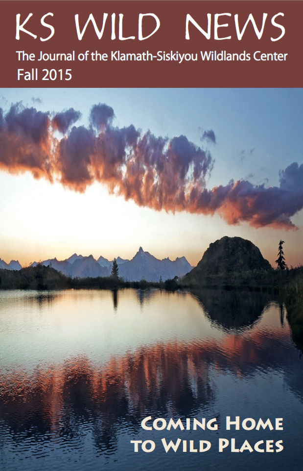 Fall 2015 Newsletter