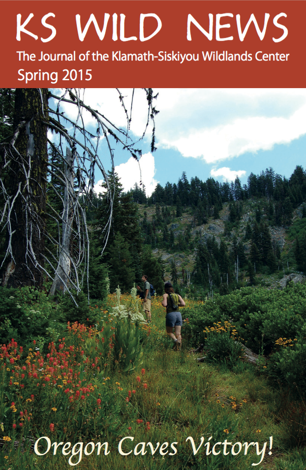 Spring 2015 Newsletter