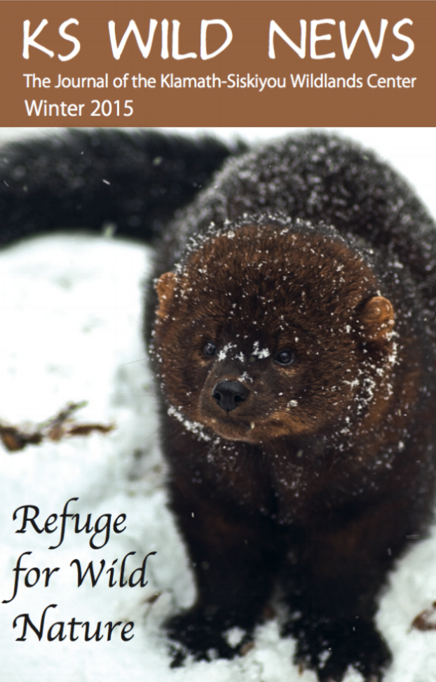 Winter 2014/2015 Newsletter