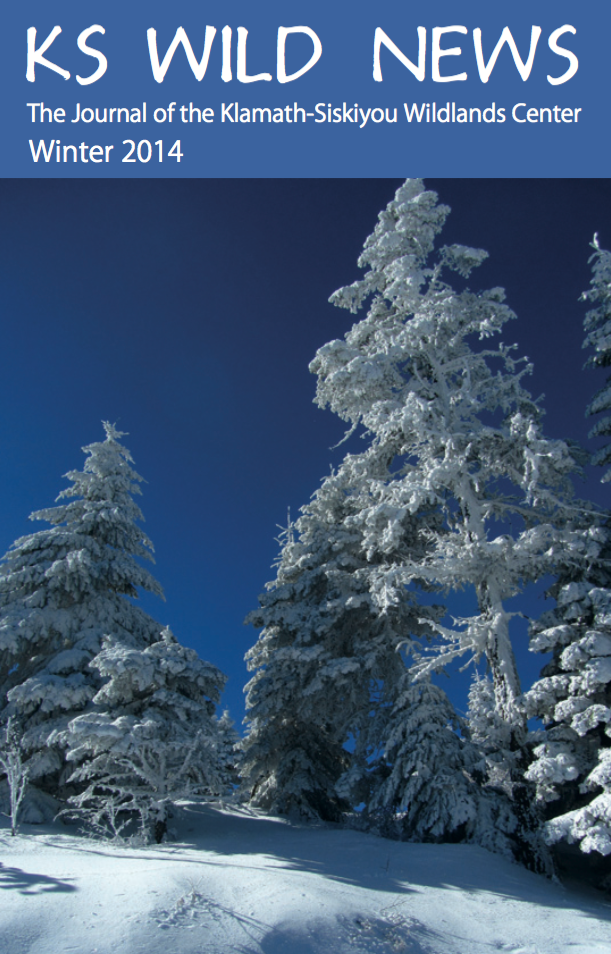 Winter 2013/2014 Newsletter