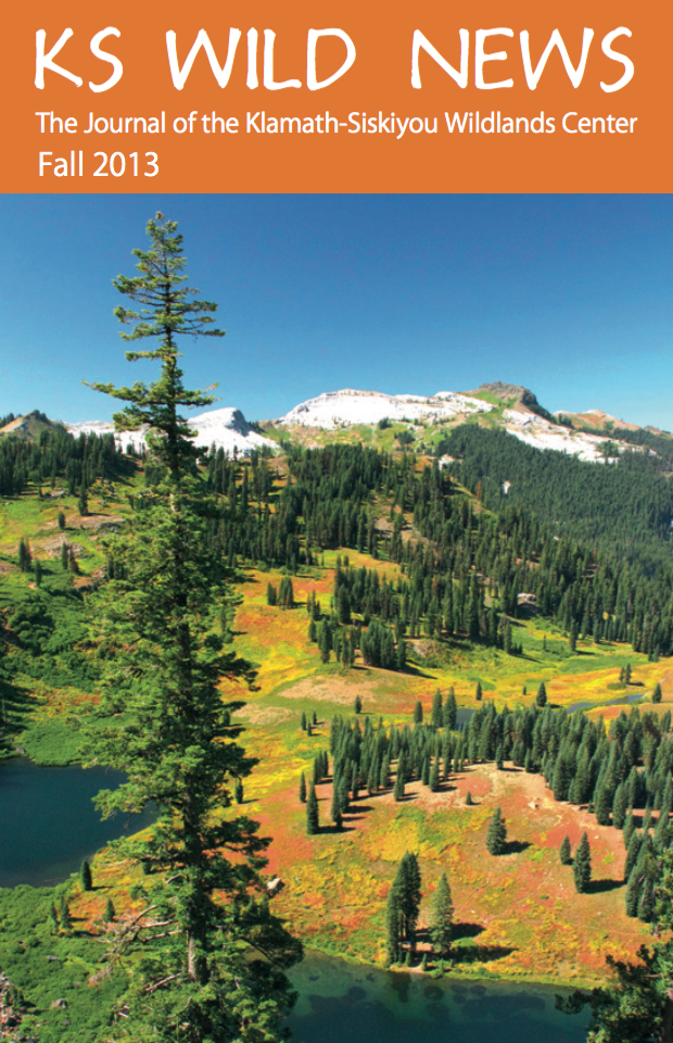 Fall 2013 Newsletter