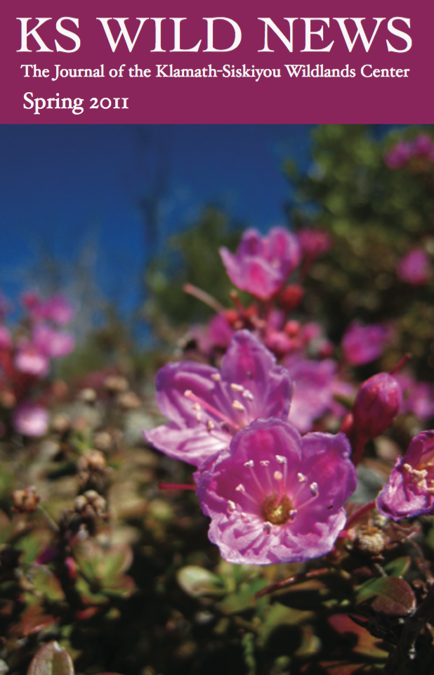 Spring 2011 Newsletter