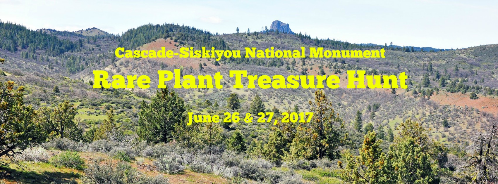 Rare Plant Treasure Hunt in the Cascade-Siskiyou National Monument