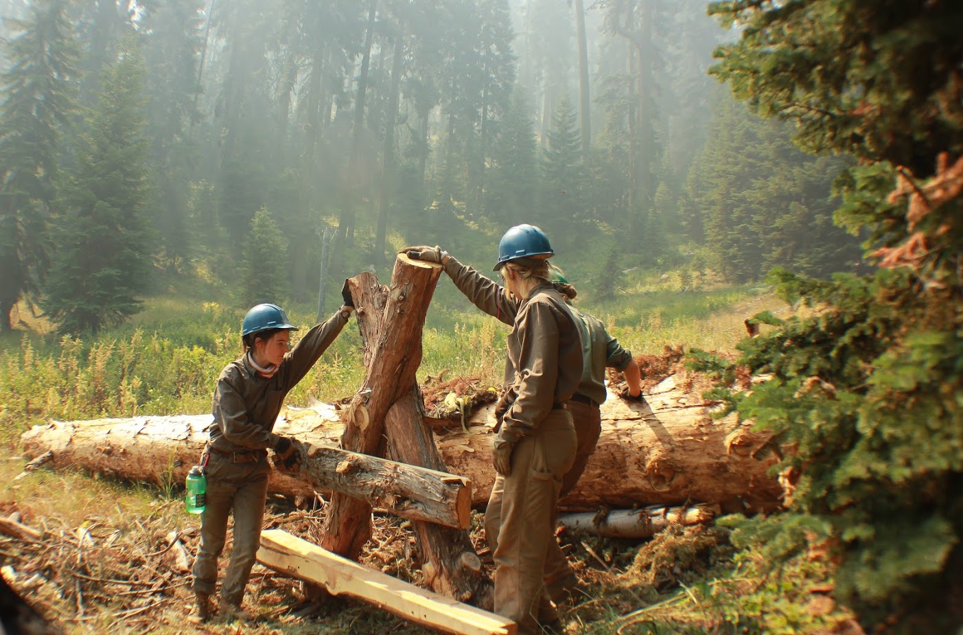 Alex Hole Camp out and meadow restoration project