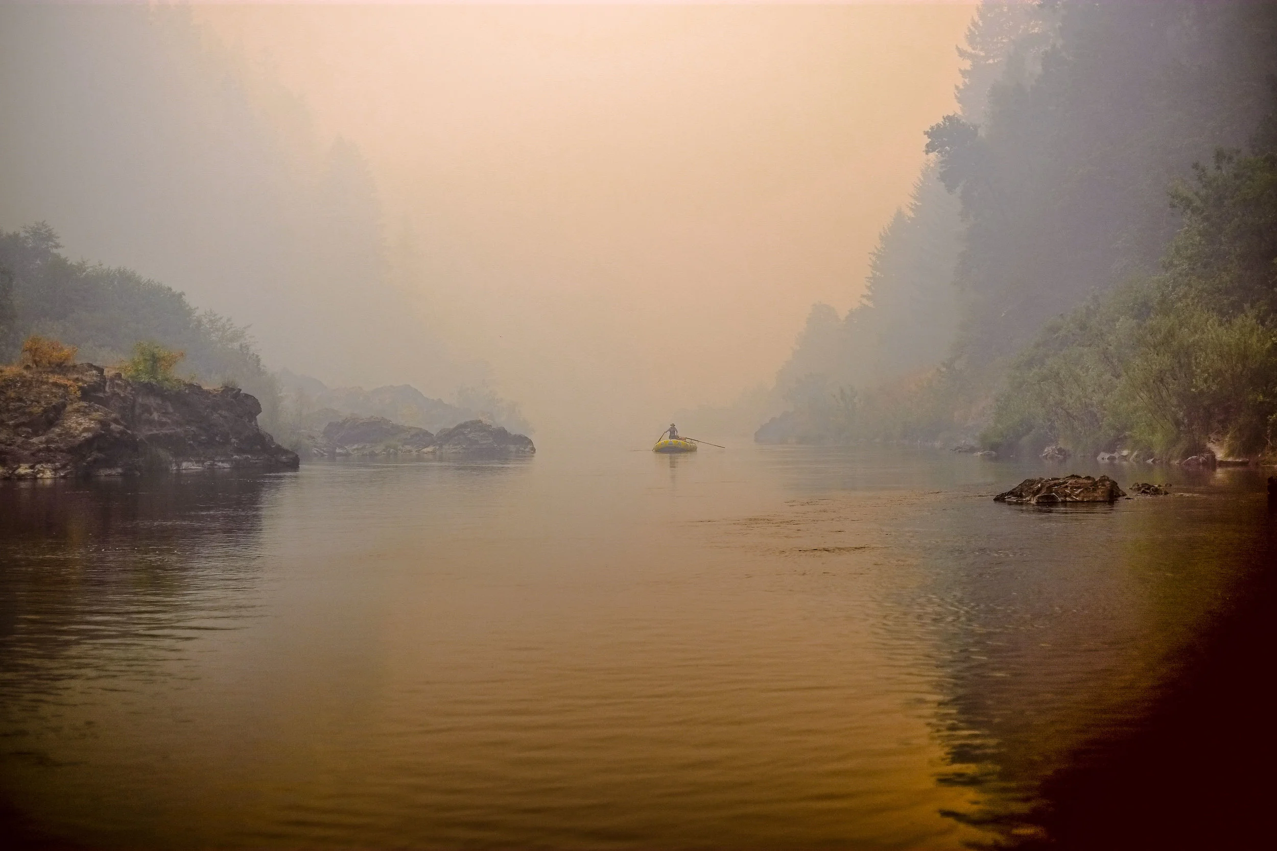 Healthy Watersheds, Resilient Forests