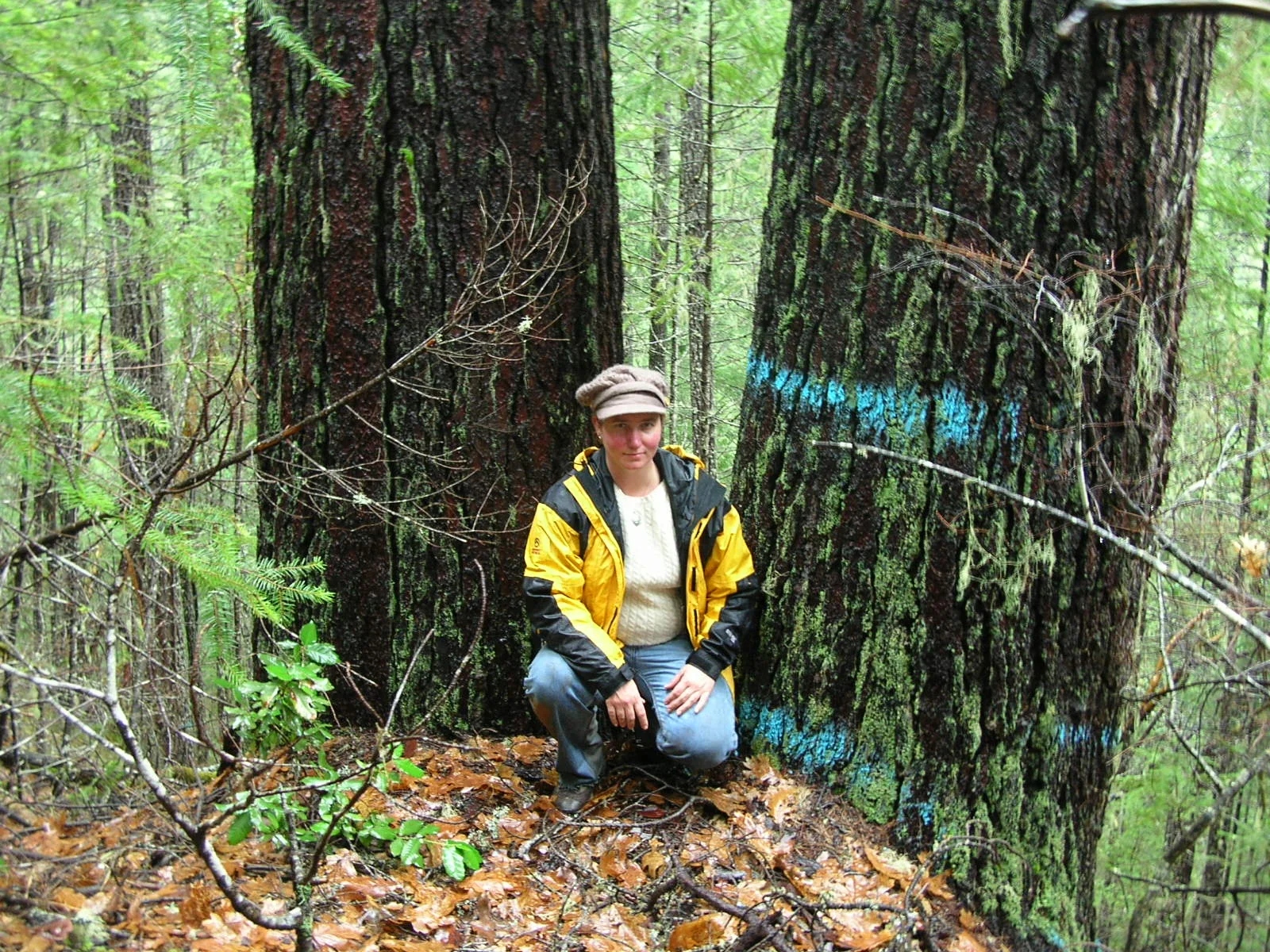 Fight the Pickett West Timber Sale!