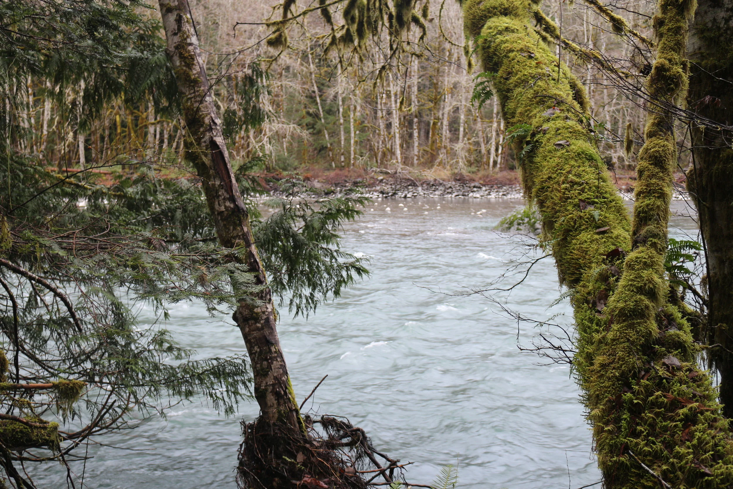 How Clean is the Water? Visit Swim Guide for Current Conditions