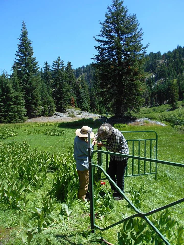 Meadow-Fence-building-KSWild.jpg