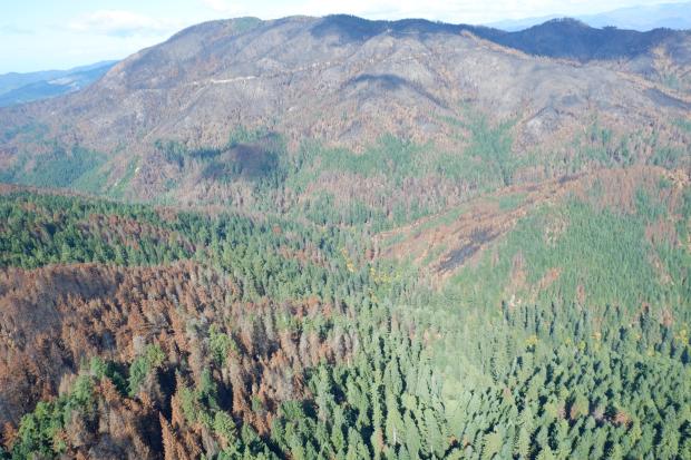 Flyover photo of a mixed-severity fire, Chetco Bar Fire 2017. Available on InciWeb