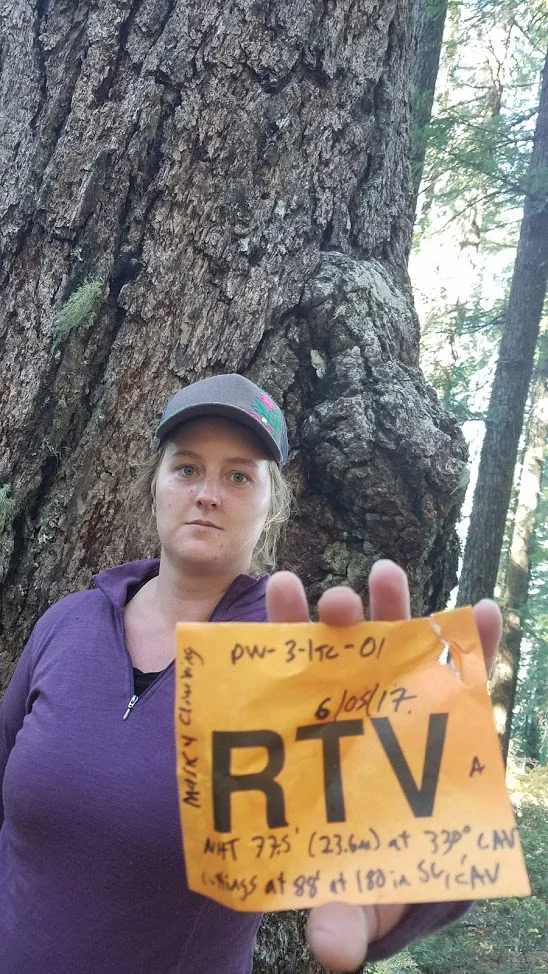 RedTreeVole