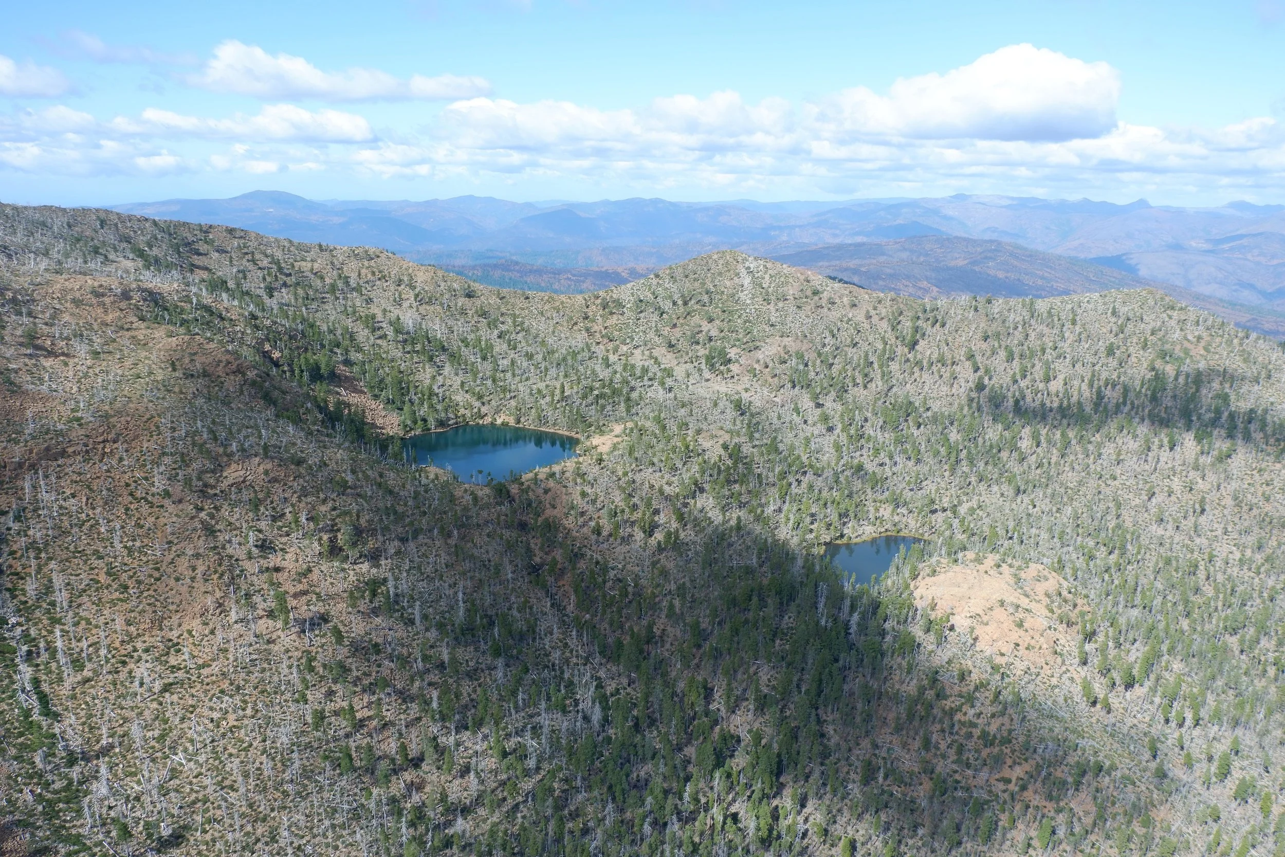 Did the Forest Service learn from the Biscuit fire (2002)?