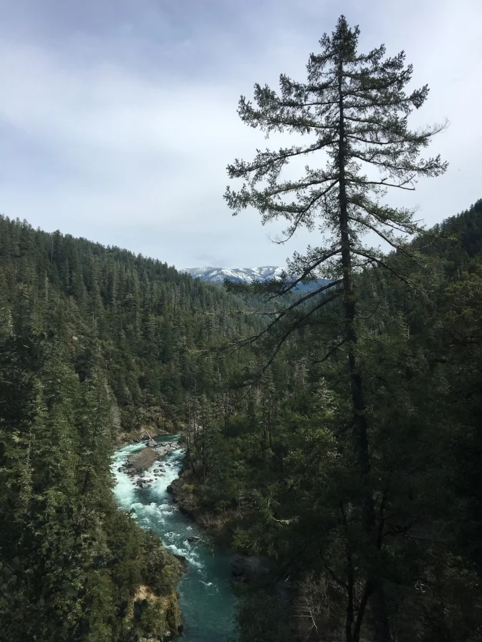 Wildlife, Watersheds and Wildlands: What KS Wild is working on in 2018 