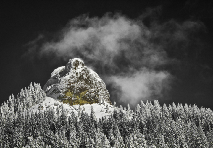 Matt Witt Photography