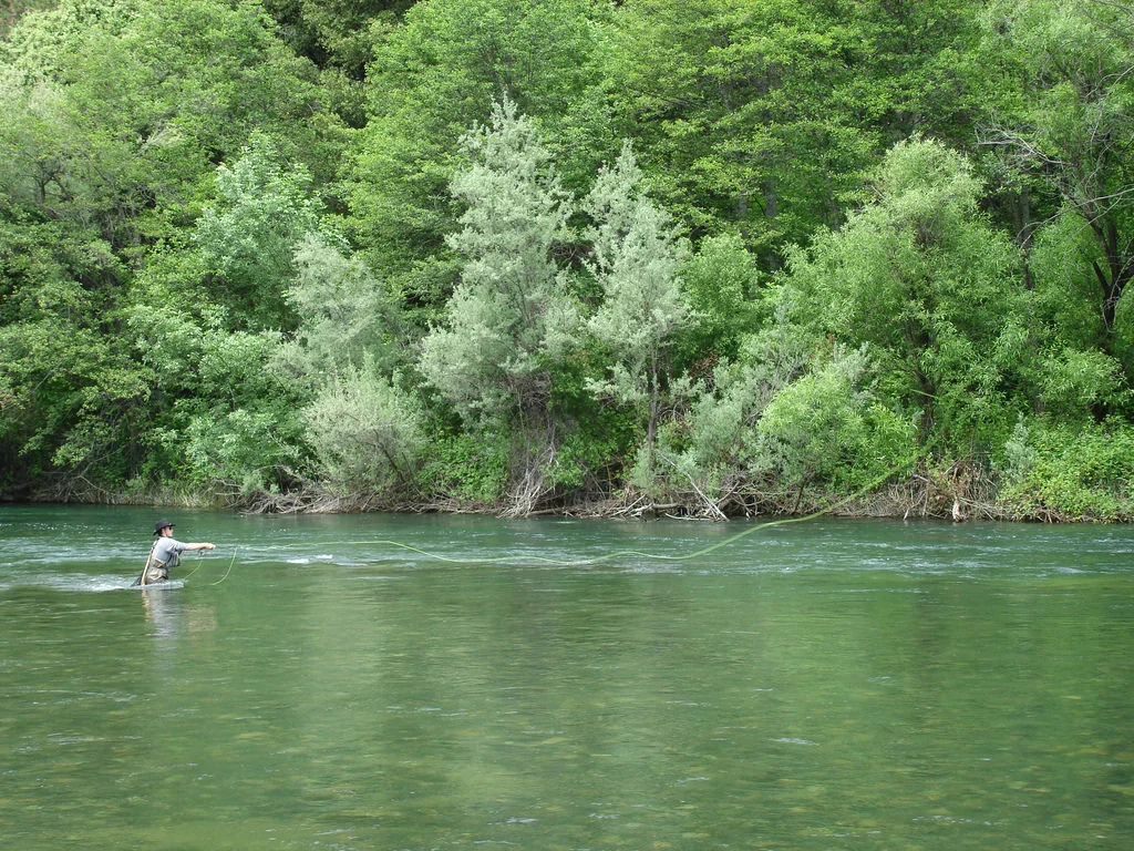 The Wild and Scenic Trinity River