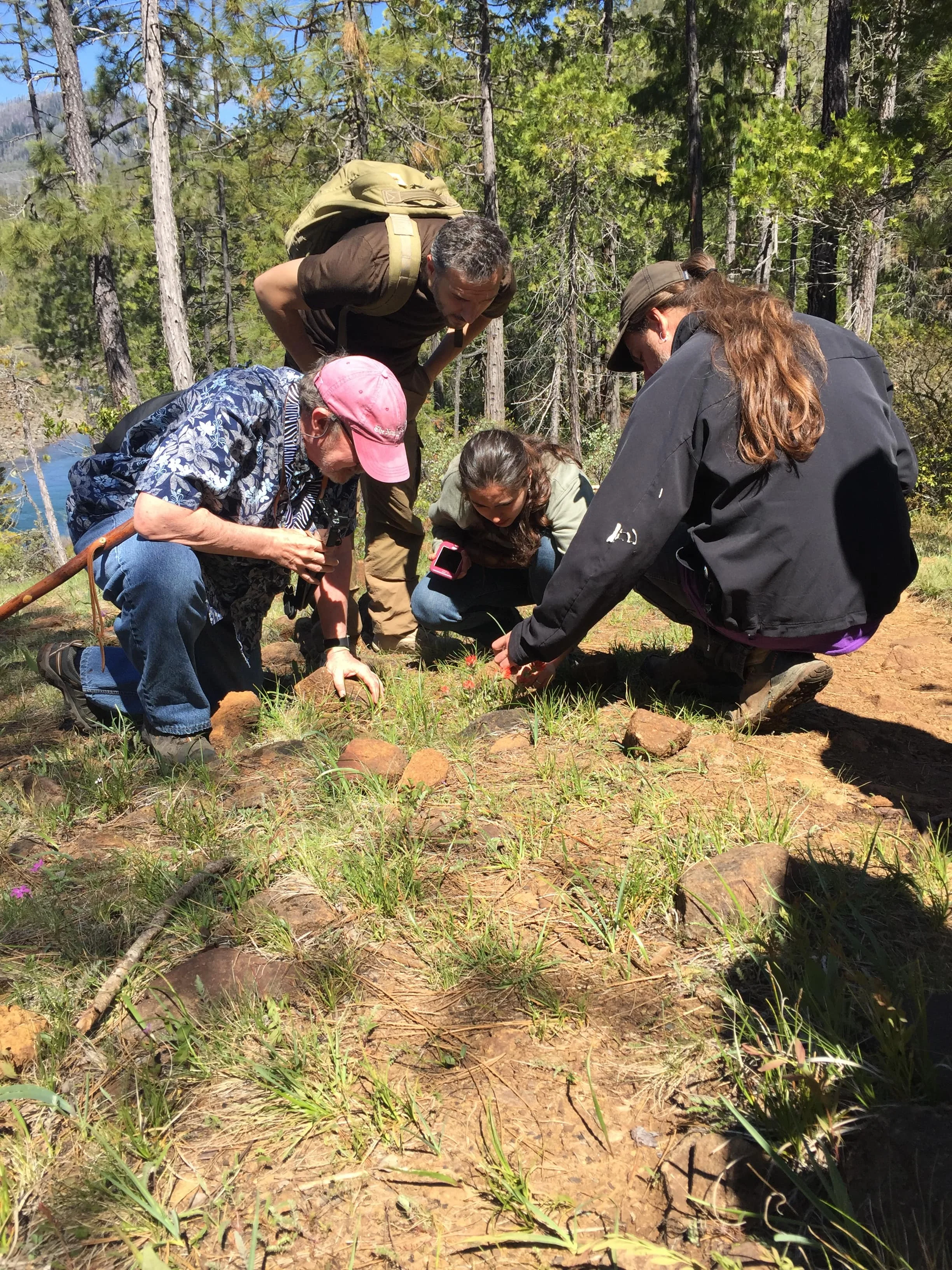 Illinois River Hike and Waldo Takilma Botanical Area Clean-up